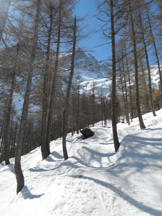 Le Relais Des Ecrins Hotel Saint-Christophe-en-Oisans Екстериор снимка
